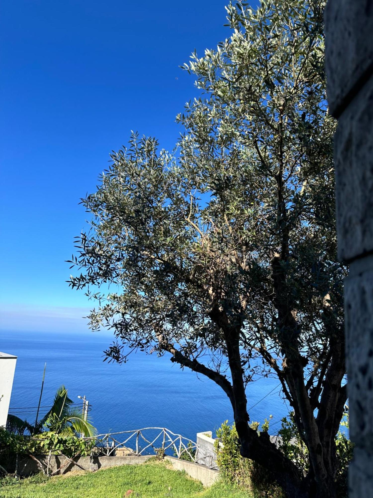 Cozy Sea View House Faja Da Ovelha Villa Calheta  Dış mekan fotoğraf